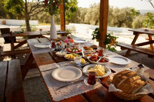 Hostal Ionia Guest House
