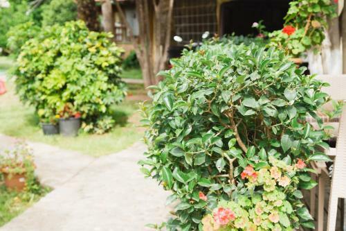 Village Garden Pansiyon