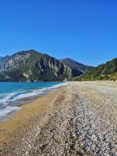 Village Garden Pansiyon