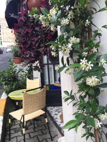 Apartamento The White Swan Suites Beyoglu