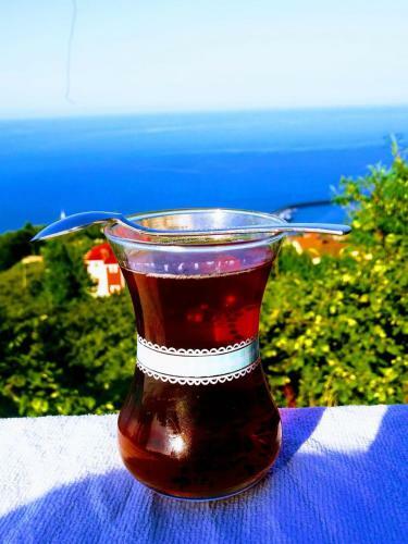 Villa Trabzon Akcakale Palace