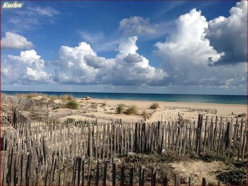 Apartamento R�sidence Les Violettes