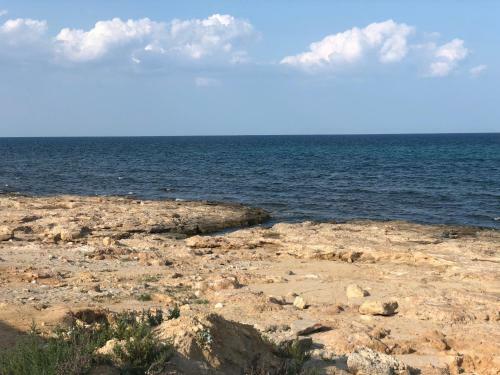 Apartamento R�sidence Les Violettes