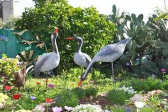 Hotel Kibbutz Country Lodging Amaid