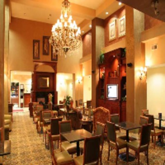 Hotel Hampton Inn Suites Bolingbrook