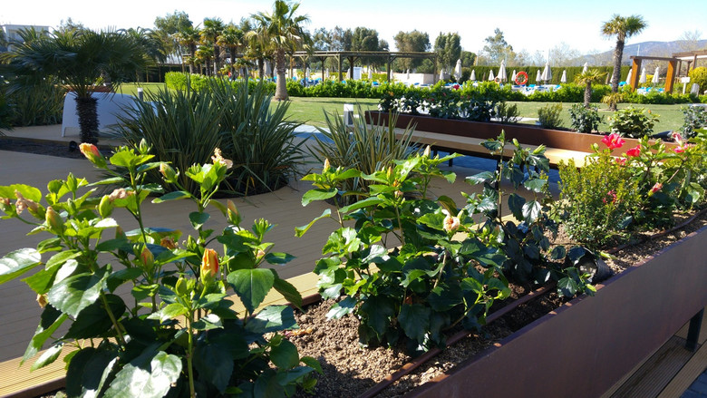 Hotel Mediterr�neo