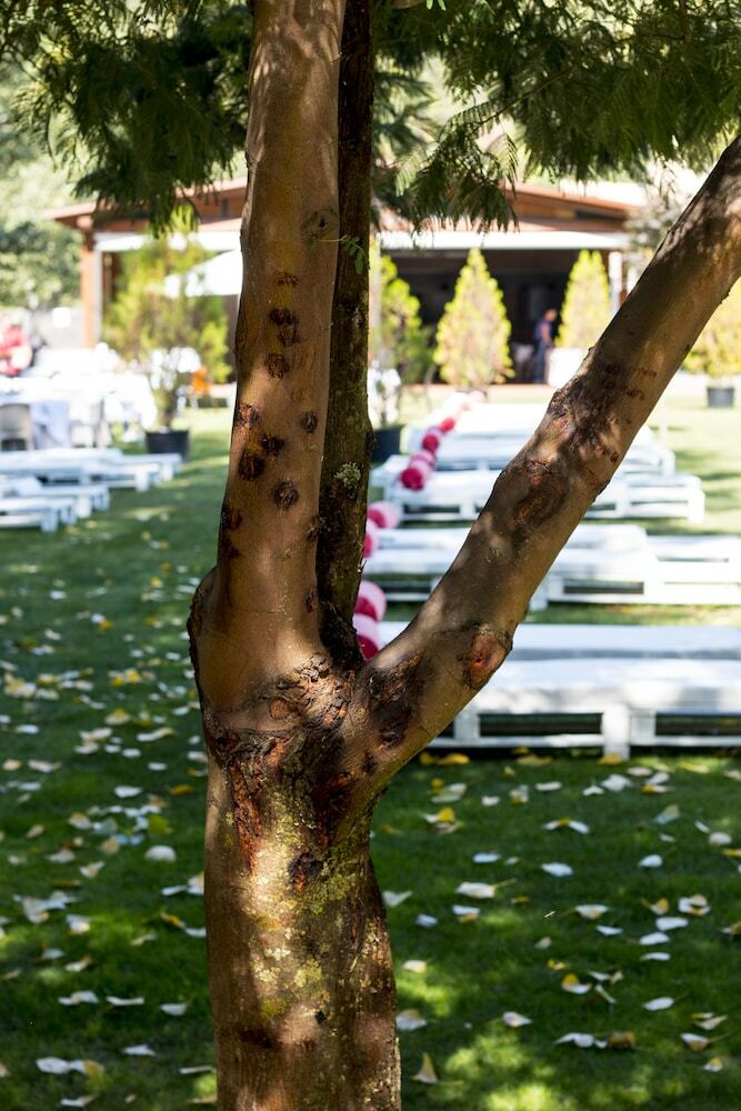 Hotel Balneario Valle Del Jerte