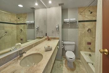 Hotel Courtyard By Marriott San Luis Potosi
