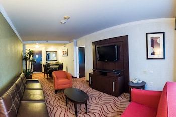 Hotel Courtyard By Marriott San Luis Potosi
