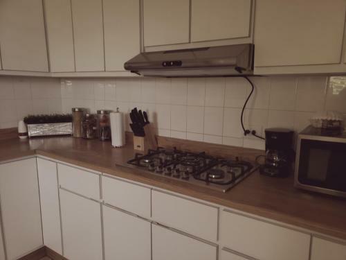 Rent It Harrinzon 101