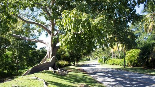 Apartamento Palm View