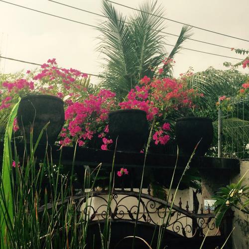 Villa Bob's Bali House