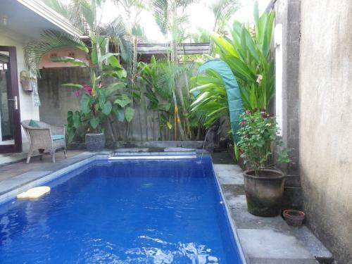 Villa Bob's Bali House