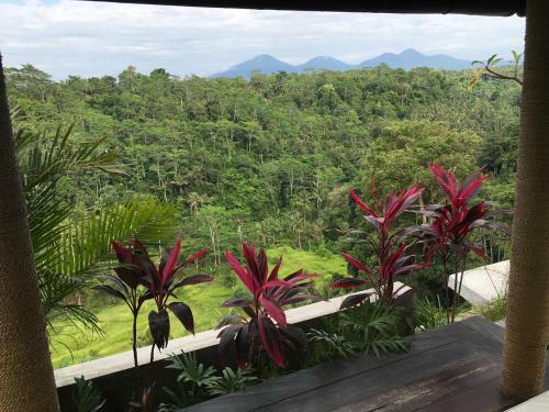 Villa Ayuterra Resort