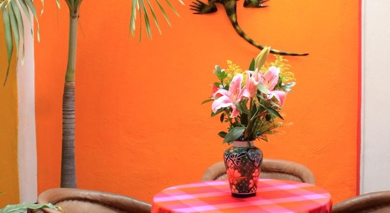 Hotel La Iguana De Oro Vallarta