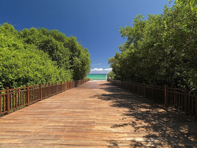 Hotel Paradisus Playa Del Carmen - Riviera Maya