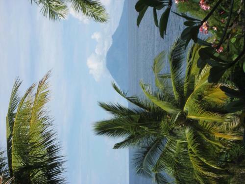 Hotel Janji Laut Resort