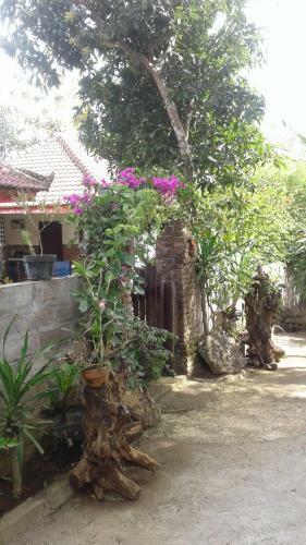 Hostal Saraswati Homestay
