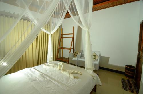Hostal Bintang House