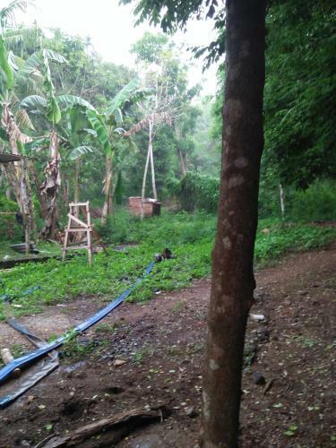 Lodge Batu Homestay