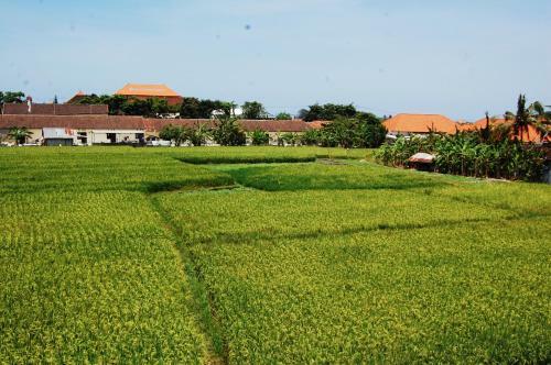 Hostal Bali Kunti Guest House