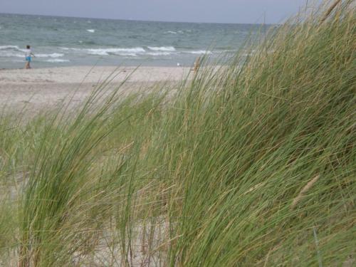 Apartamento Achtern - Diek - Am Strand