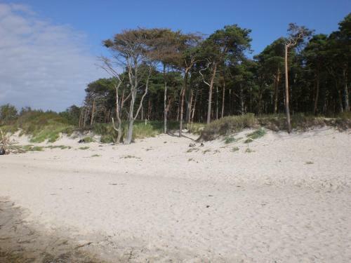 Apartamento Achtern - Diek - Am Strand