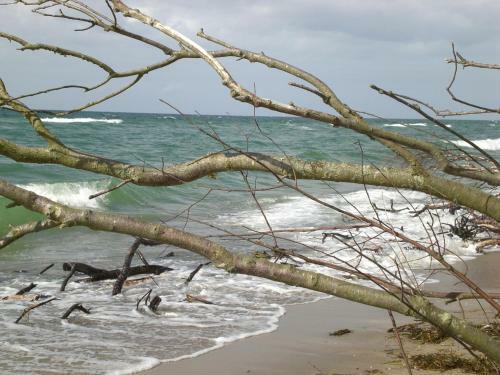 Apartamento Achtern - Diek - Am Strand