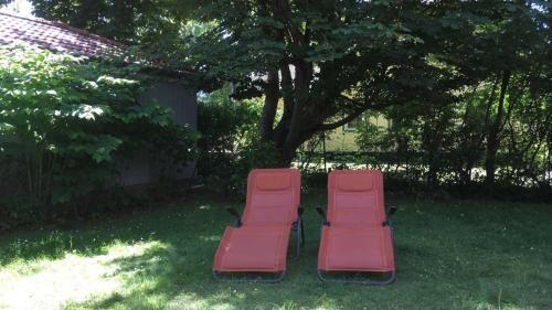 Apartamento Zur Hanse 1_1