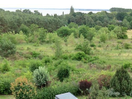 Apartamento Appartement Residenz Bellevue Whg