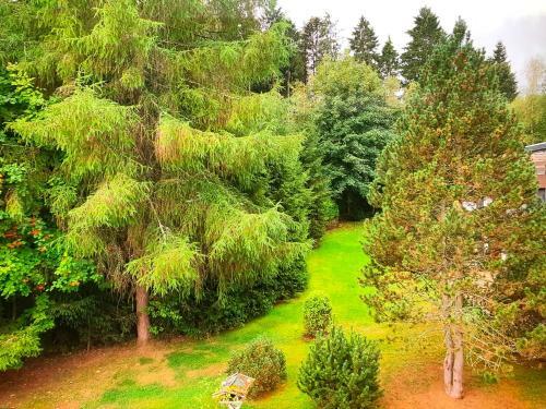 Apartamento In Der B�re 10-r