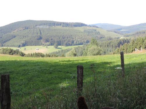 Apartamento Appartement Am Grimmen 16