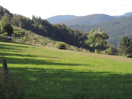Apartamento Appartement Am Grimmen 16