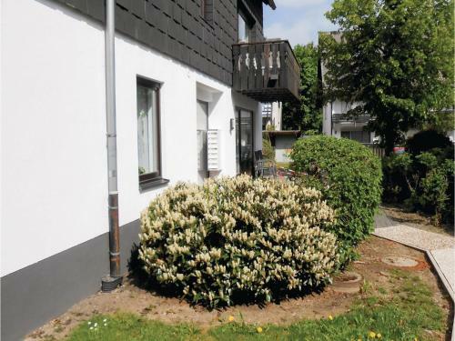 0-bedroom Apartment In Winterberg