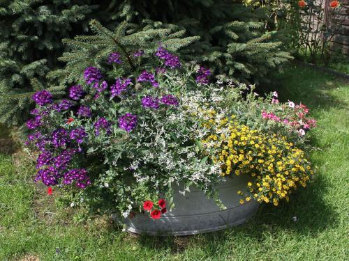 Apartamento Bl�tenzauber