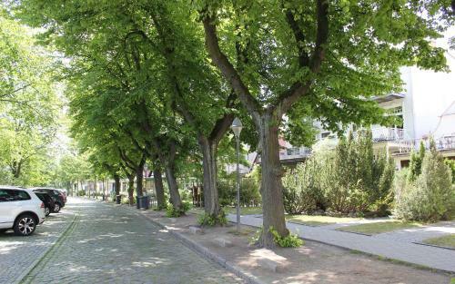 Apartamento Ferienwohnungen _ Guetschow _ Obje
