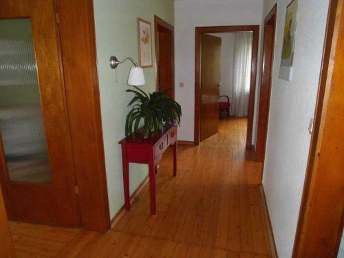 Apartamento Ferienwohnungen Friedrichs