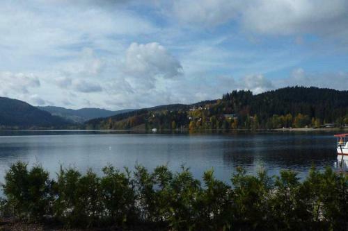 Apartamento Haus Residenz Am See_ Wohnung Nr_ 8