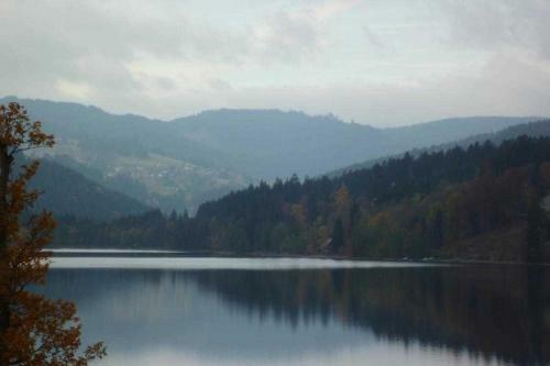 Apartamento Haus Residenz Am See_ Wohnung Nr_ 8