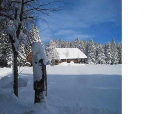 Apartamento Haus Jan�en-wehrle