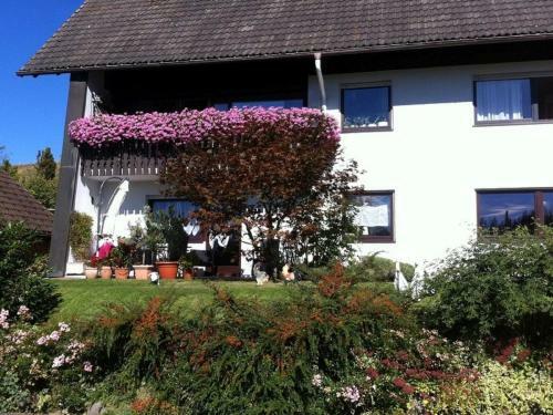 Apartamento Haus Jan�en-wehrle