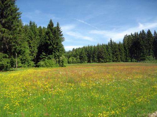 Apartamento Haus Jan�en-wehrle