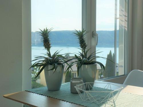 Apartamento Rebhaus "ferienh�user Sch�ne Ferien"