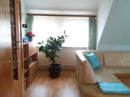 Apartamento Haus Gunda, Ferienwohnung