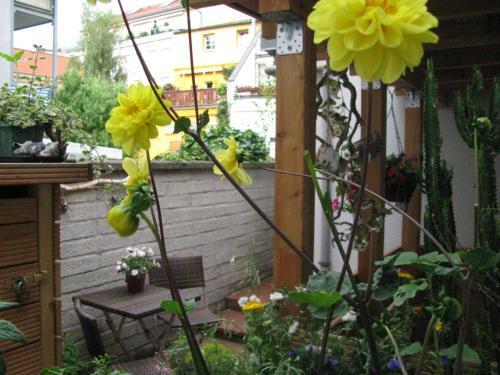 Apartamento Kleines Gaestehaus _ Objekt 25897