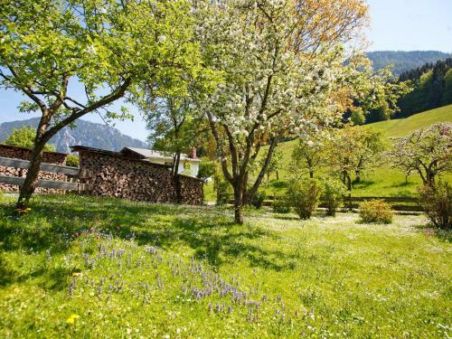 Apartamento Ferienwohnungen Plenk