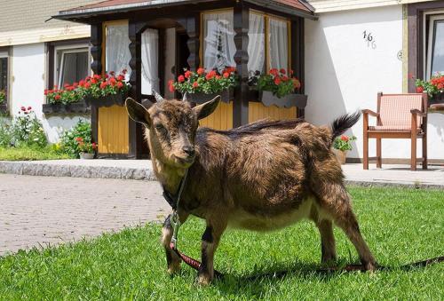 Apartamento Ferienwohnung Meierhof