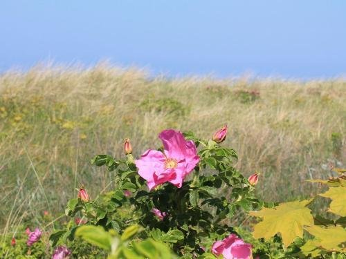 Apartamento Mediterrane Gem�tlichkeit 1