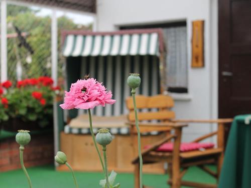 Apartamento Zur Teufelsschlucht
