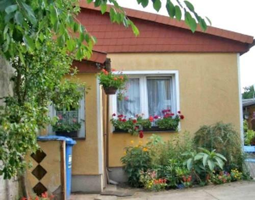 Ferienhaus Rheinsberg See 9891